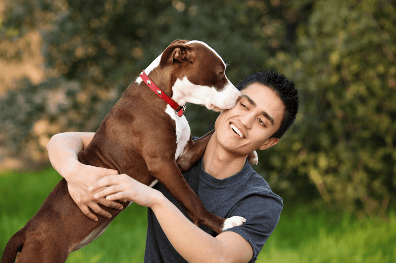 Dog licking mans face in a garden 